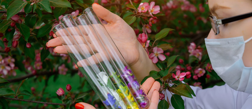 Młoda naukowczyni trzyma w rękach próbki zawierające kwiaty rożnych gatunków roślin