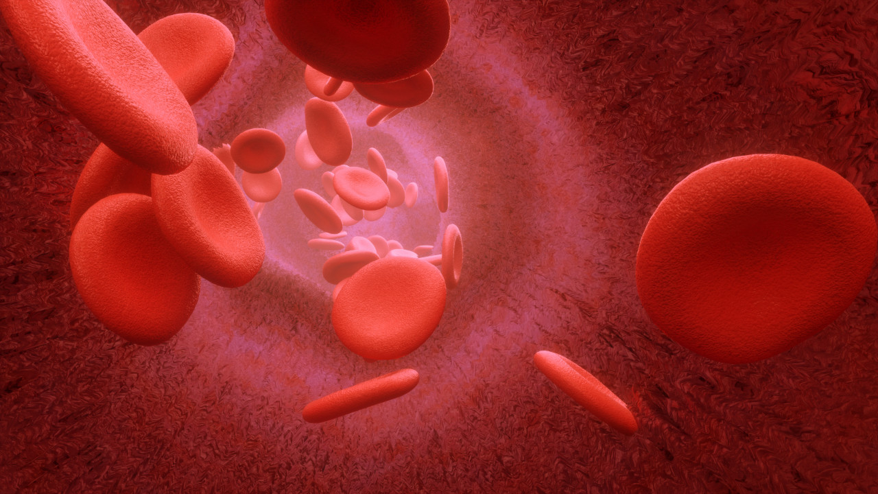 3d-render-blood-cells-flowing-through-arteries-veins.jpg