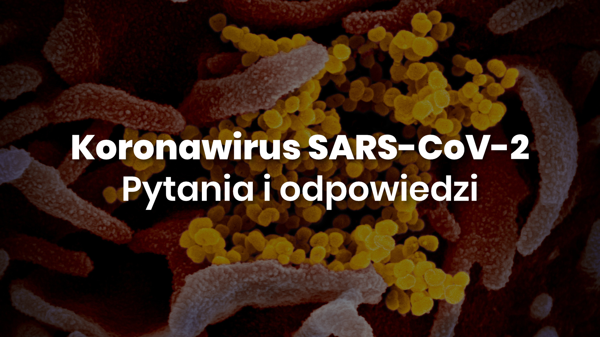 Zdjęcie koronawirusa z mikroskopu elektronowego. Dodany napis: "Koronawirus SARS-CoV-2 i choroba COVIC-19. Pytania i odpowiedzi".