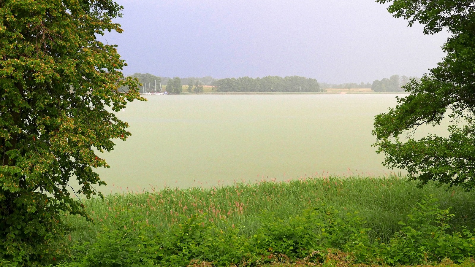 jezioro_mikolajskie_zielone.jpg