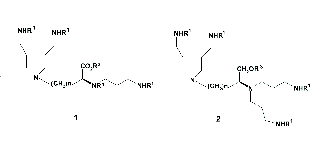 Wzór ogólny dendrymeru: Rl - odpowiednio sfunkcjonalizowane aminokwasy, lub peptydy; R2 i R3 -aminokwasy lub inne grupy modyfikujące odpowiedź biologiczną.