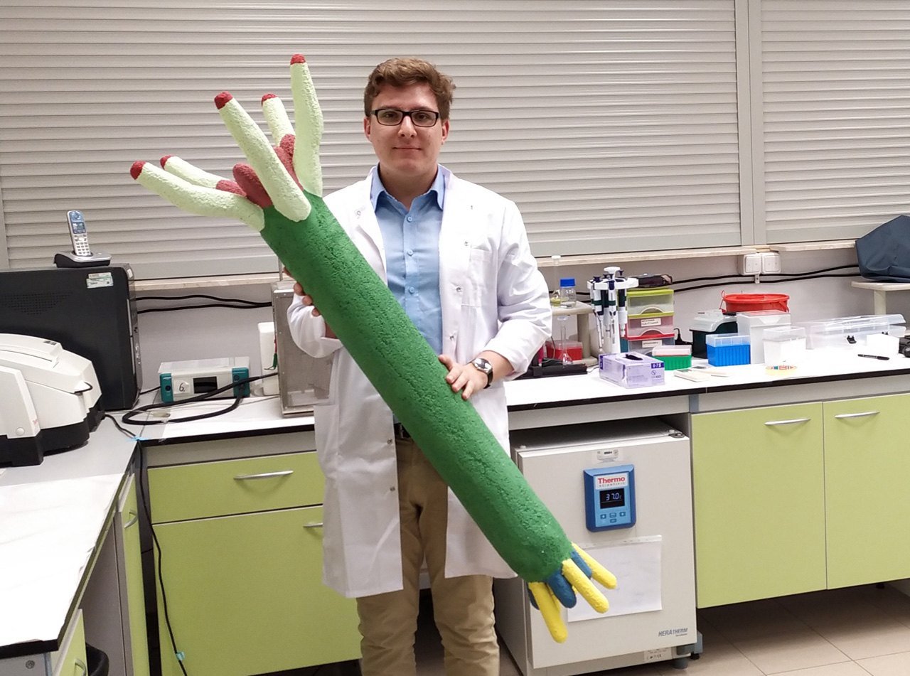 Sebastian Machera with model M13 bacteriophage