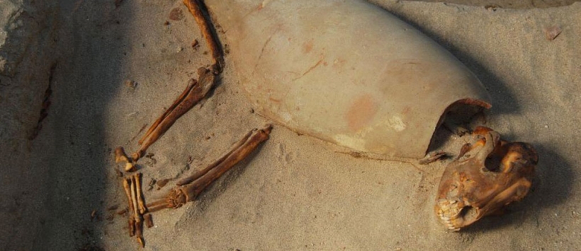 Ślady psiego nowotworu sprzed 2 tysięcy lat znaleziono w Egipcie