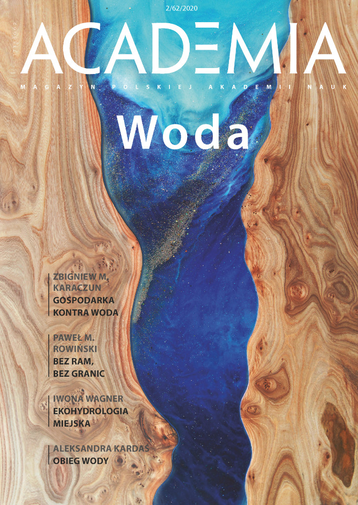 Okładka najnowszego numery kwartalnika „Academia”. Zdjęcie przedstawia fotomontaż drewnianej deski i niebieskiej żywicy, która symbolizuje wodę. Całość wygląda jak zdjęcie rzeki z satelity.