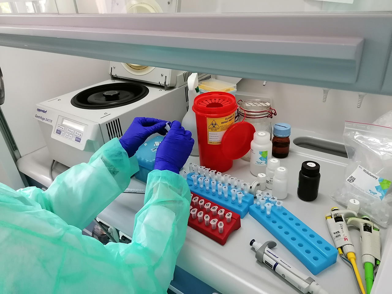 Medyk wykonuje badania w laboratorium (widać dłonie w rękawiczkach)